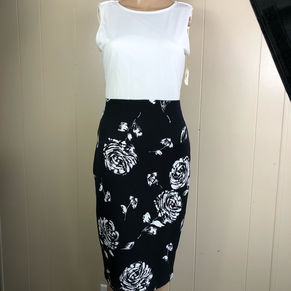 NWT Alt B sleeveless dress size large